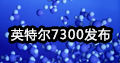 Ӣ�ض�7300����