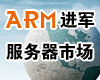ARM�����������г� Ϊ�İ㣿